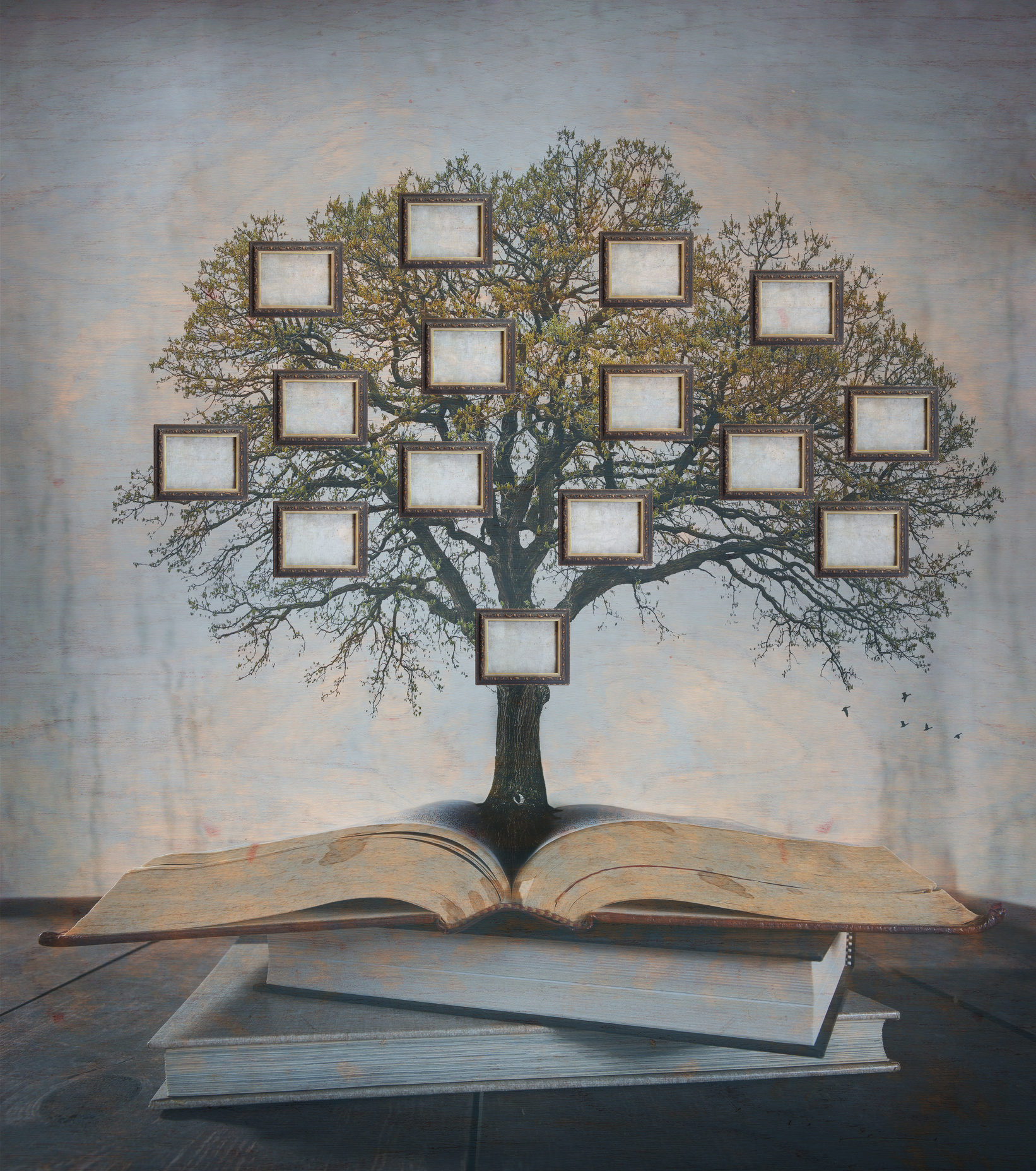 Family Tree, Genealogy